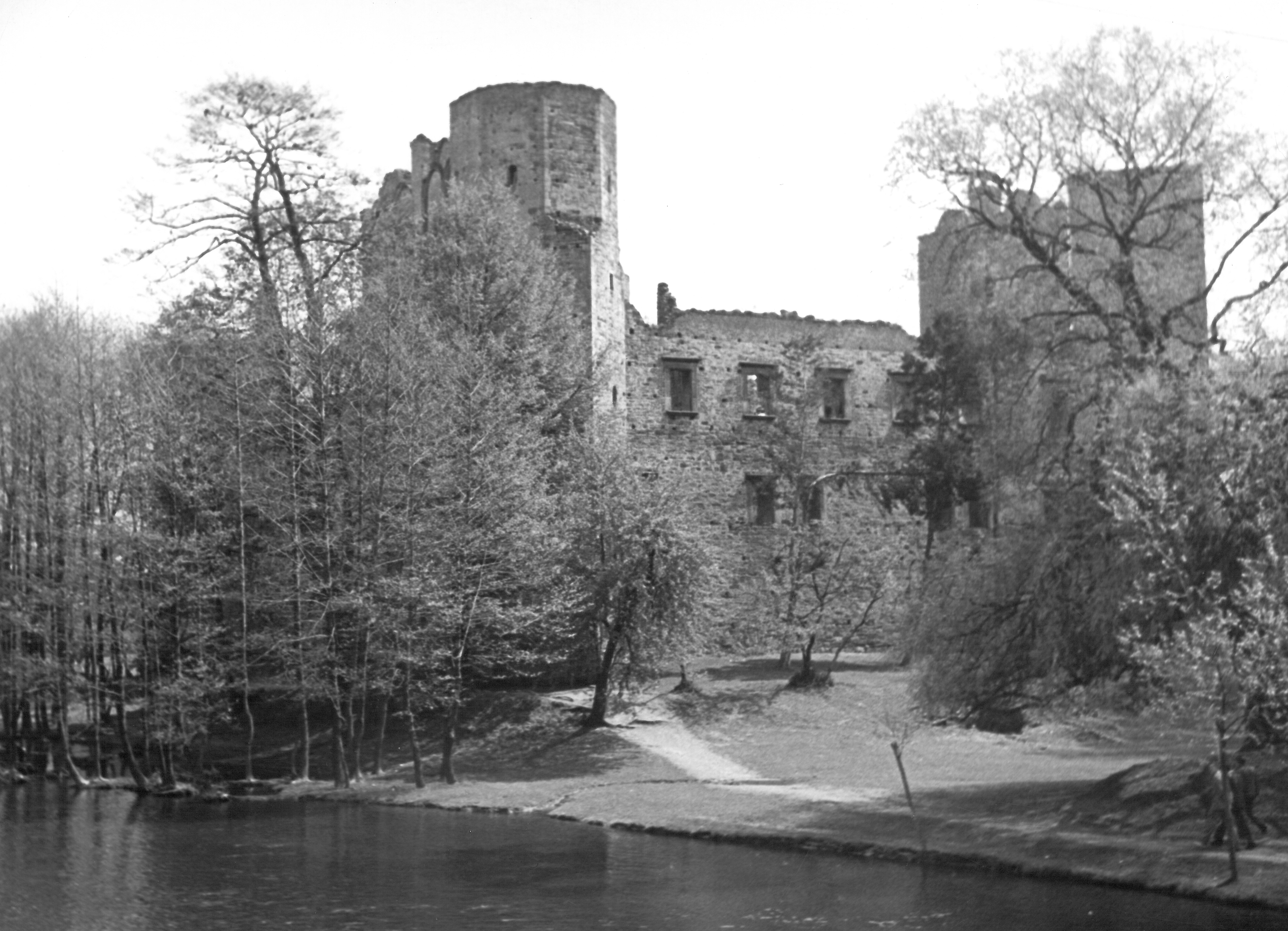 Fotografia ruin XVI-wiecznego zamku w Drzewicy (pow. opoczyński).
